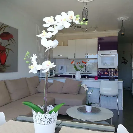 Apartment Aloe New Excellence